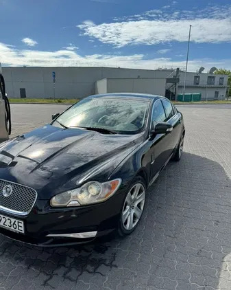 mazowieckie Jaguar XF cena 32500 przebieg: 240000, rok produkcji 2008 z Płock